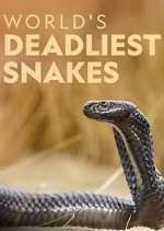 Watch World's Deadliest Snakes 5movies