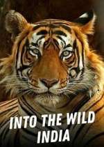 Watch Into the Wild India 5movies