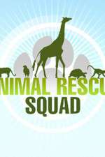 Watch Animal Rescue Squad 5movies