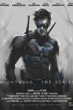 Watch Nightwing: The Series 5movies