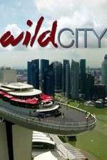 Watch Wild City 5movies