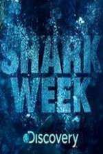 Watch Shark Week 5movies