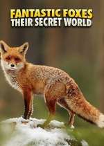 Watch Fantastic Foxes: Their Secret World 5movies