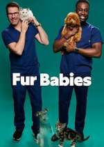 Watch Fur Babies 5movies