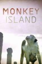 Watch Monkey Island 5movies