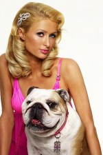 Watch Paris Hilton's British Best Friend 5movies