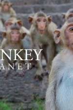 Watch Monkey Planet 5movies