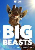 Watch Big Beasts 5movies