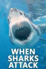 Watch When Sharks Attack 5movies