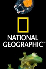 Watch Nat Geo Amazing! 5movies