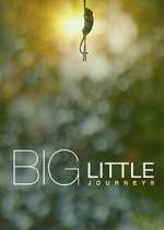 Watch Big Little Journeys 5movies