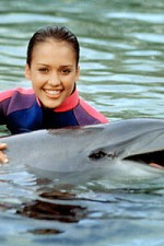 Watch Flipper (The New Adventures of Flipper) 5movies