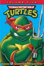 Watch Teenage Mutant Ninja Turtles 5movies