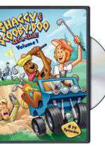 Watch Shaggy & Scooby-Doo Get a Clue 5movies