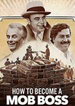 Watch How to Become a Mob Boss 5movies