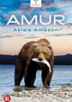 Watch Amur Asia's Amazon 5movies