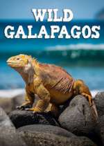 Watch Wild Galapagos 5movies