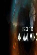 Watch Inside the Animal Mind 5movies