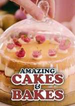 Watch Amazing Cakes & Bakes 5movies