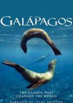 Watch Galapagos 5movies