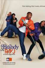 Watch Brandy and Ray J: A Family Business 5movies