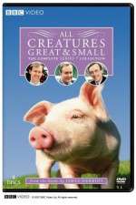 Watch All Creatures Great and Small 5movies