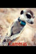 Watch Animals with Cameras 5movies