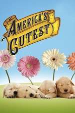 Watch America's Cutest 5movies