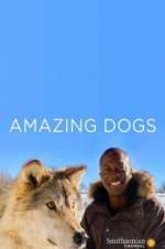 Watch Amazing Dogs 5movies