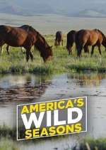 Watch America's Wild Seasons 5movies
