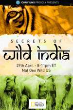 Watch Secrets of Wild India 5movies