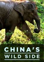 Watch China's Wild Side 5movies