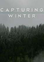 Watch Capturing Winter 5movies