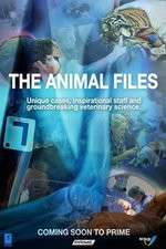 Watch The Animal Files 5movies