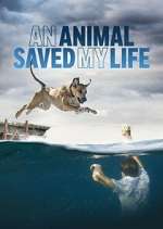 Watch An Animal Saved My Life 5movies