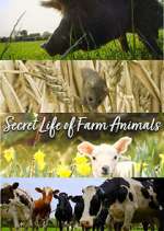 Watch Secret Life of Farm Animals 5movies