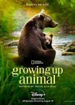 Watch Growing Up Animal 5movies