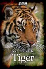 Watch Lost Land of the Tiger 5movies