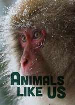 Watch Animals Like Us 5movies