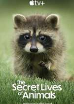 Watch The Secret Lives of Animals 5movies