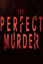 Watch The Perfect Murder 5movies