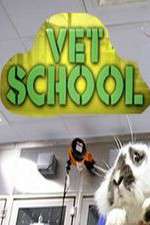 Watch Vet School 5movies