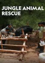 Watch Jungle Animal Rescue 5movies