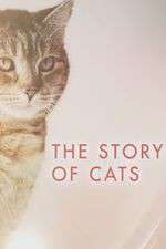 Watch The Story of Cats 5movies