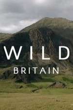 Watch Wild Britain 5movies