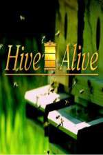 Watch Hive Alive 5movies