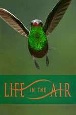 Watch Life in the Air 5movies