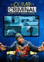 Watch So Dumb It's Criminal 5movies