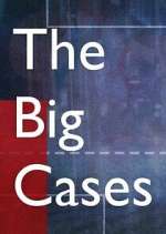 Watch The Big Cases 5movies