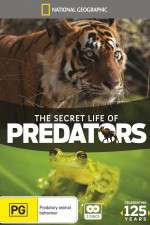 Watch Secret Life of Predators 5movies